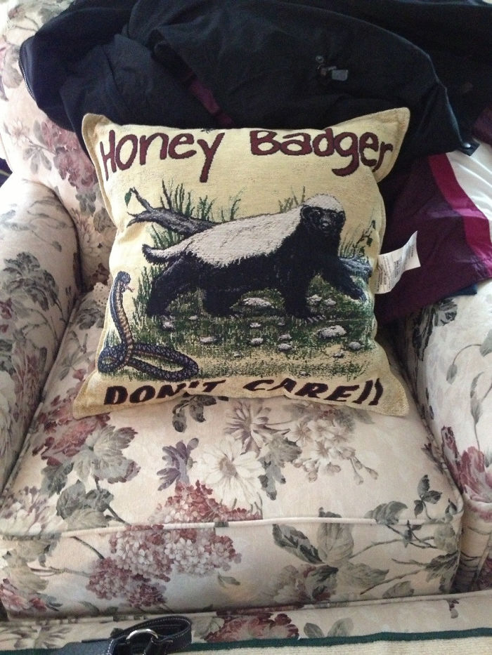 My Grandmother Gave Me This Pillow For Christmas