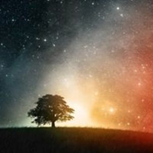 carina_dias_1 avatar