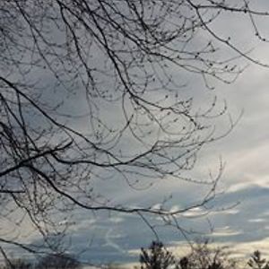 laurabethcapshaw avatar