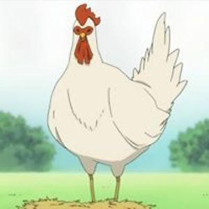 freshcatfish65 avatar