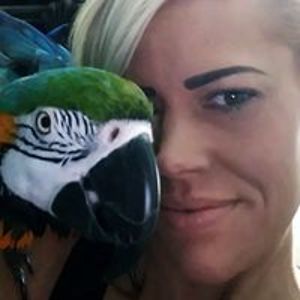 alexiscalvert avatar