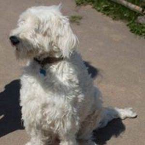 jasonproberts avatar