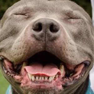 emptywestcott avatar