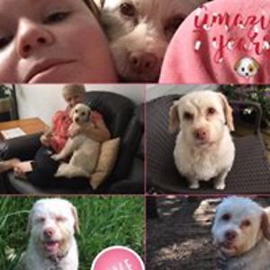 michelle_jalford avatar