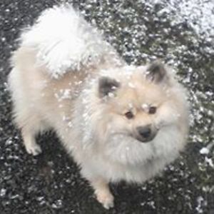 brandishairjewls avatar