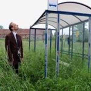 pandavidyoung avatar