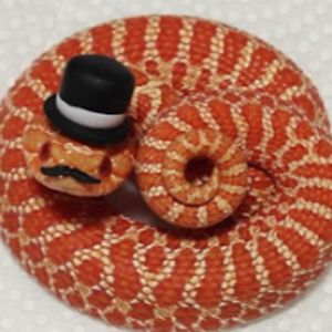 aislynnbierenga avatar