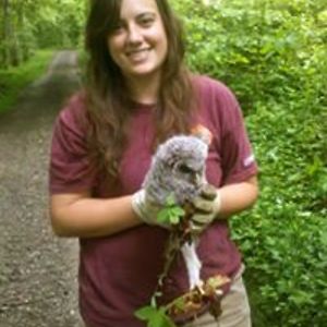 brittanyshroll avatar