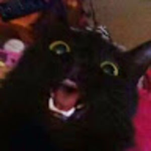 clarawilliams avatar