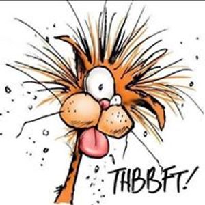 cato9tails_66 avatar