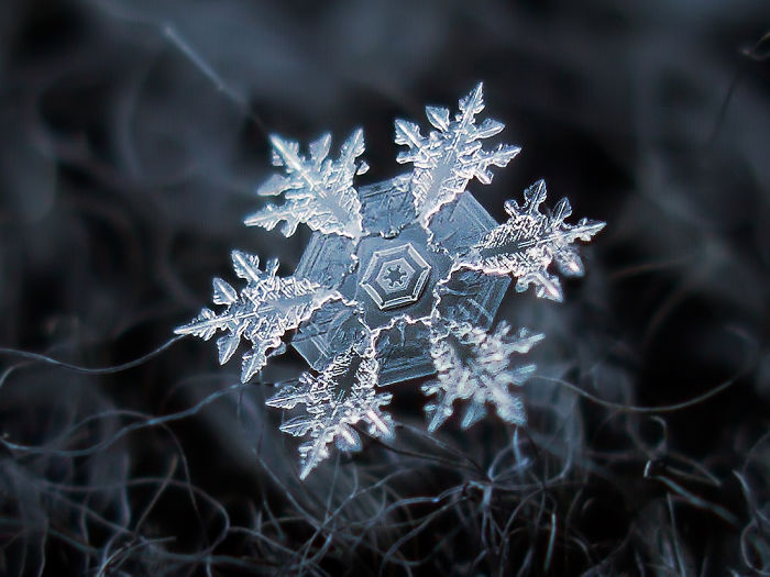 This Snowflake Center Looks Like The Star Wars Imperial Crest