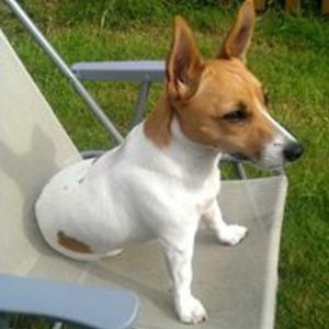 davidmseatory avatar