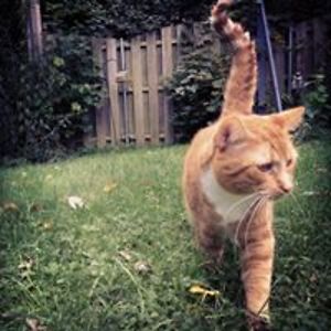 elaine_l_hills avatar