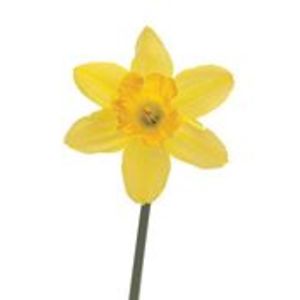 crystalcoastreiki avatar