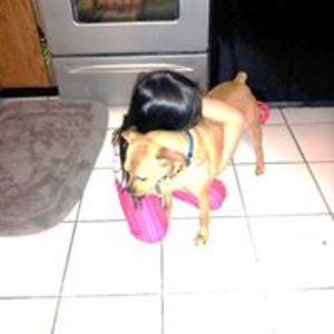 karen1campbell avatar