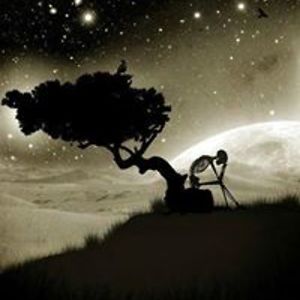 nancycousintine avatar