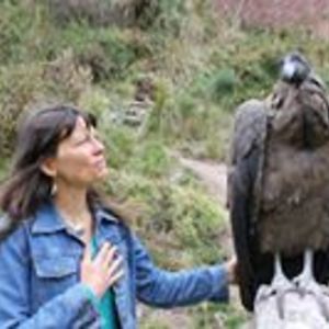 infinitihealing avatar