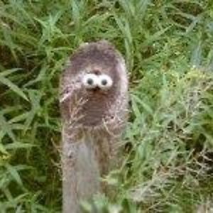 padparadscha1961 avatar