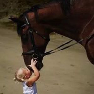 frankiejofuller2004 avatar