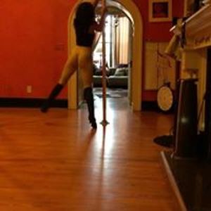 lelapolecontrolstudios avatar