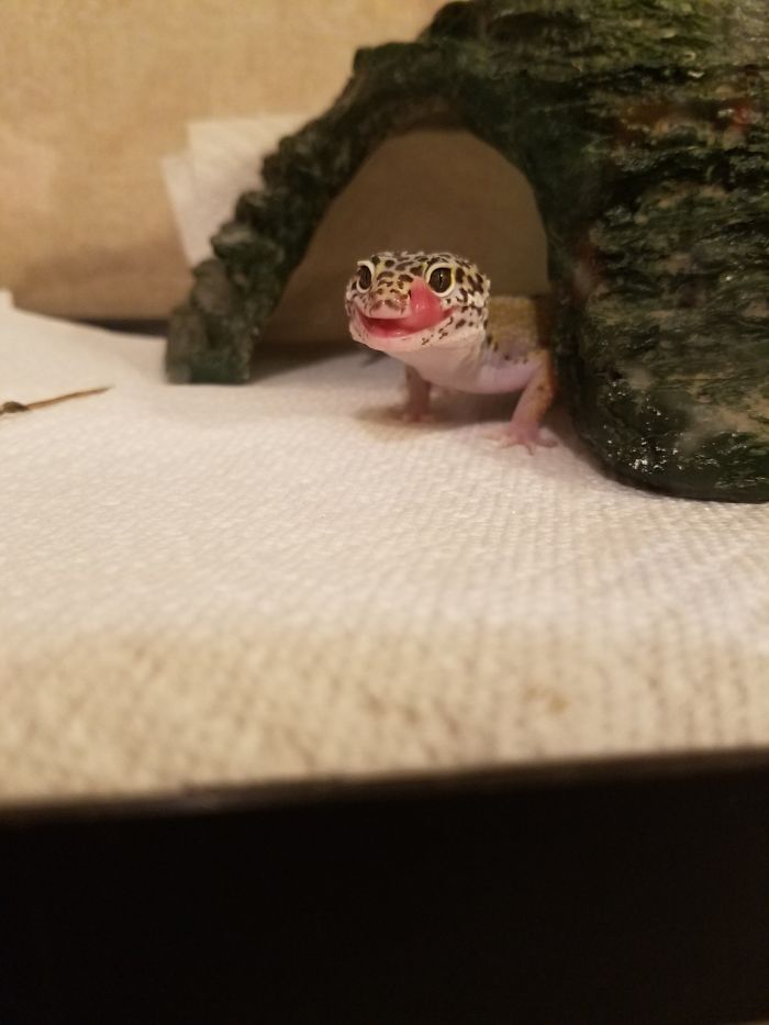 Was Told Yall Would Enjoy This Mlem