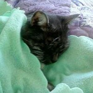 aleecia_phillips avatar