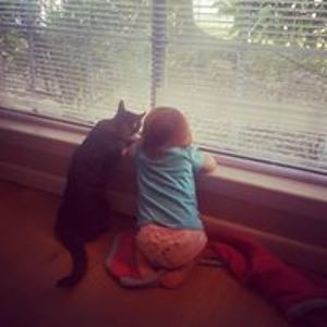 suzannesharry avatar