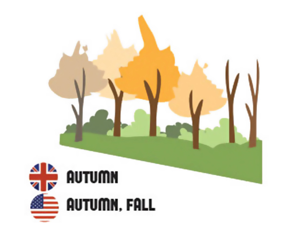 Differences Between British And American English