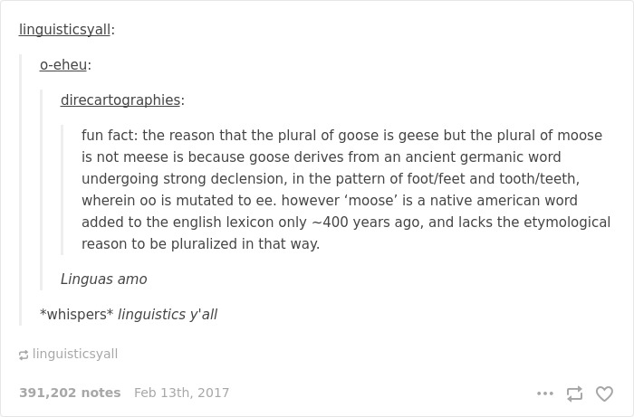Funny English language joke about goose/geese and moose/meese plurals explained.