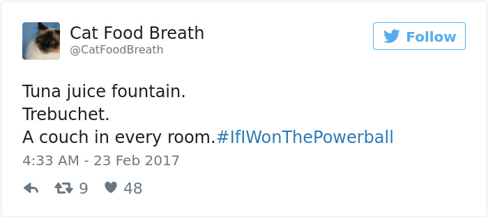 If I Won The Powerball