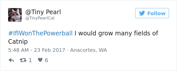 If I Won The Powerball