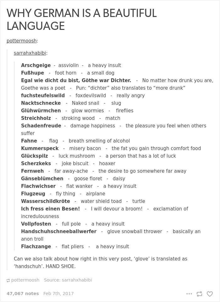 Funny German Language