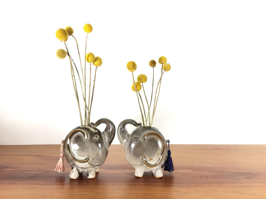 A Connection With Nature