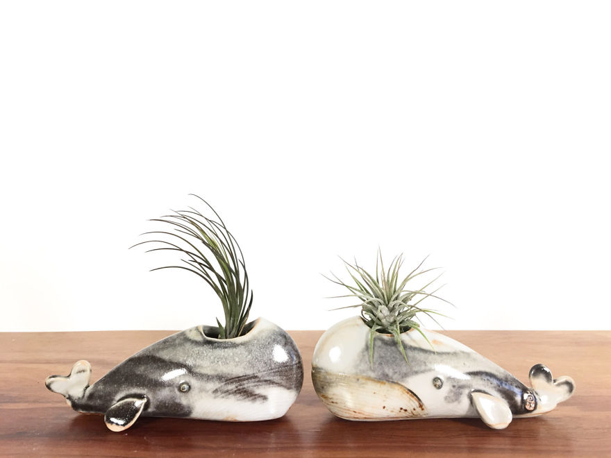 A Connection With Nature