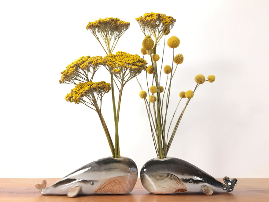 A Connection With Nature