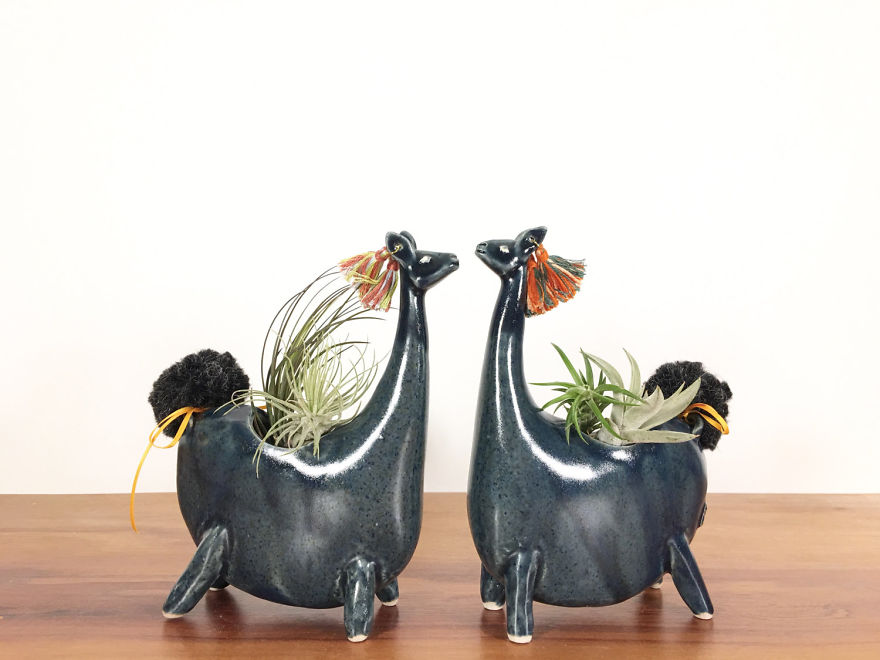 A Connection With Nature