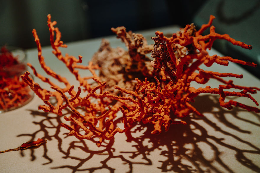 This Is Why You Should Visit Sardinia, Italy This Is Why You Should Visit Sardinia, Italy