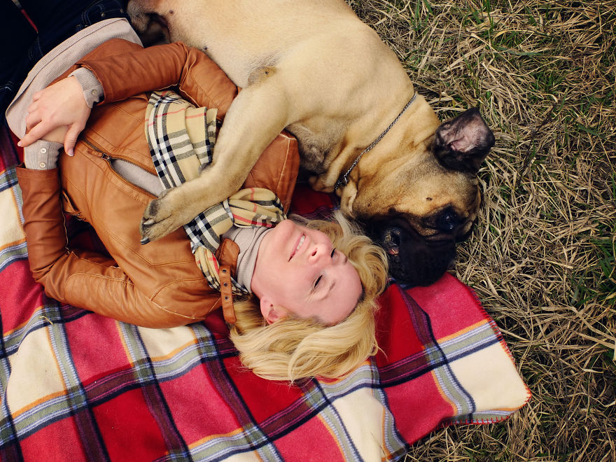 Last Portraits Of A Beloved Dog Last Portraits Of A Beloved Dog