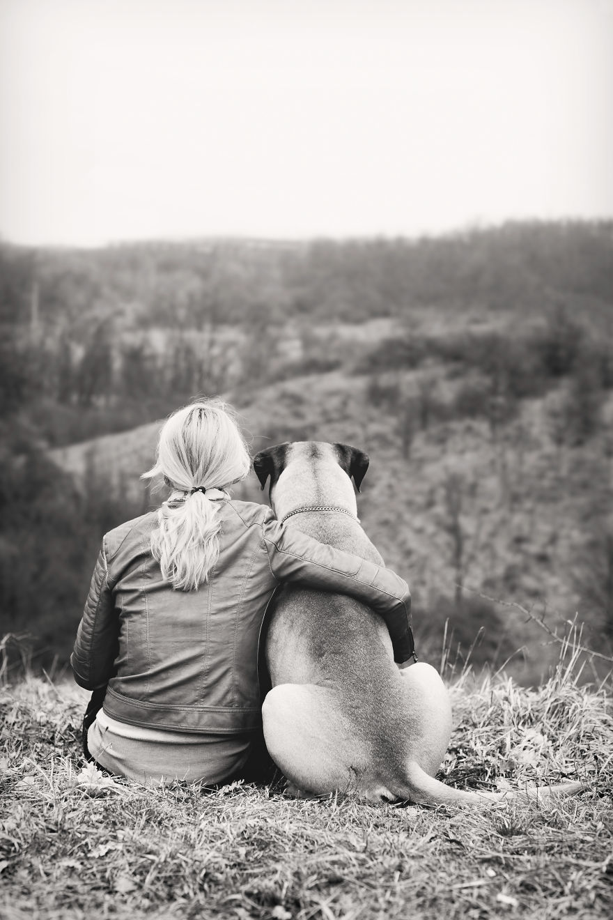 Last Portraits Of A Beloved Dog Last Portraits Of A Beloved Dog