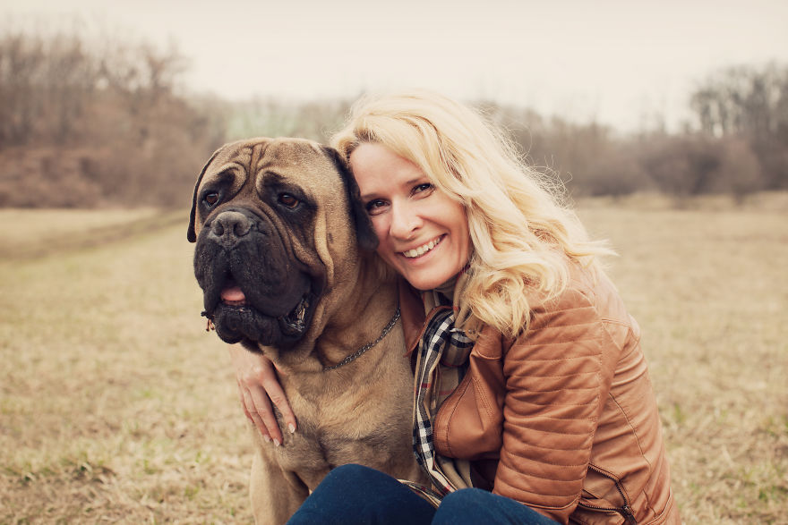 Last Portraits Of A Beloved Dog Last Portraits Of A Beloved Dog