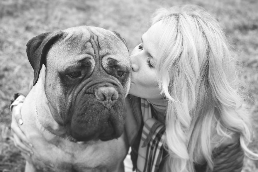 Last Portraits Of A Beloved Dog Last Portraits Of A Beloved Dog