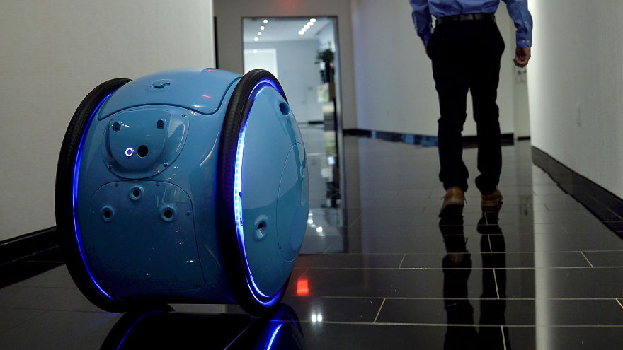 This Robot Follows You Around Carrying All Your Stuff This Robot Follows You Around Carrying All Your Stuff