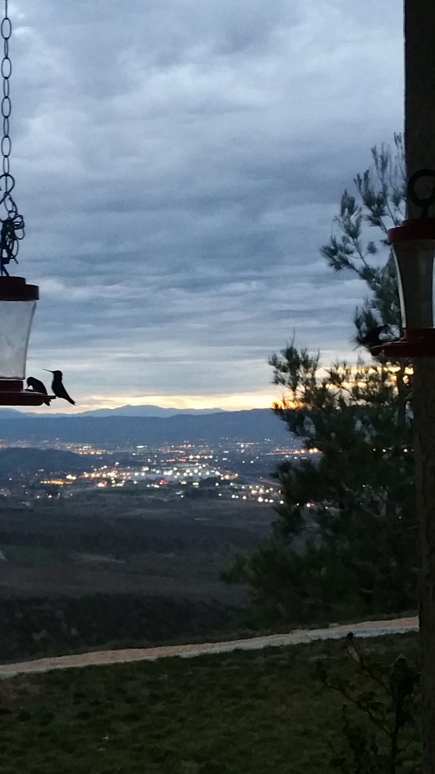 An Introvert And His Camera Phone