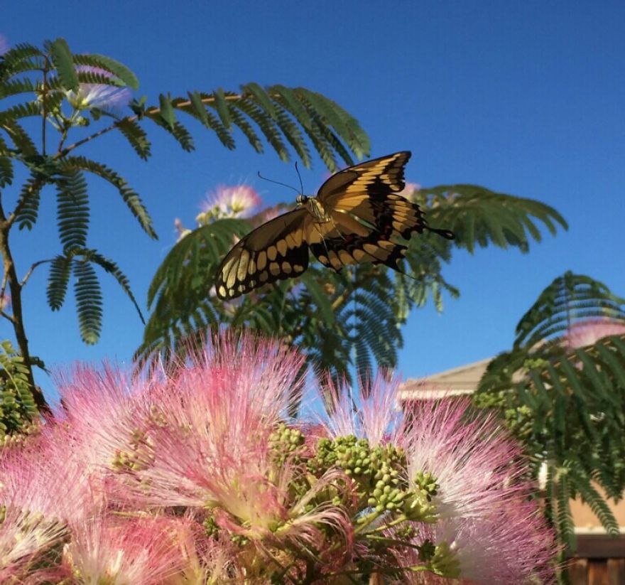 An Introvert And His Camera Phone An Introvert And His Camera Phone