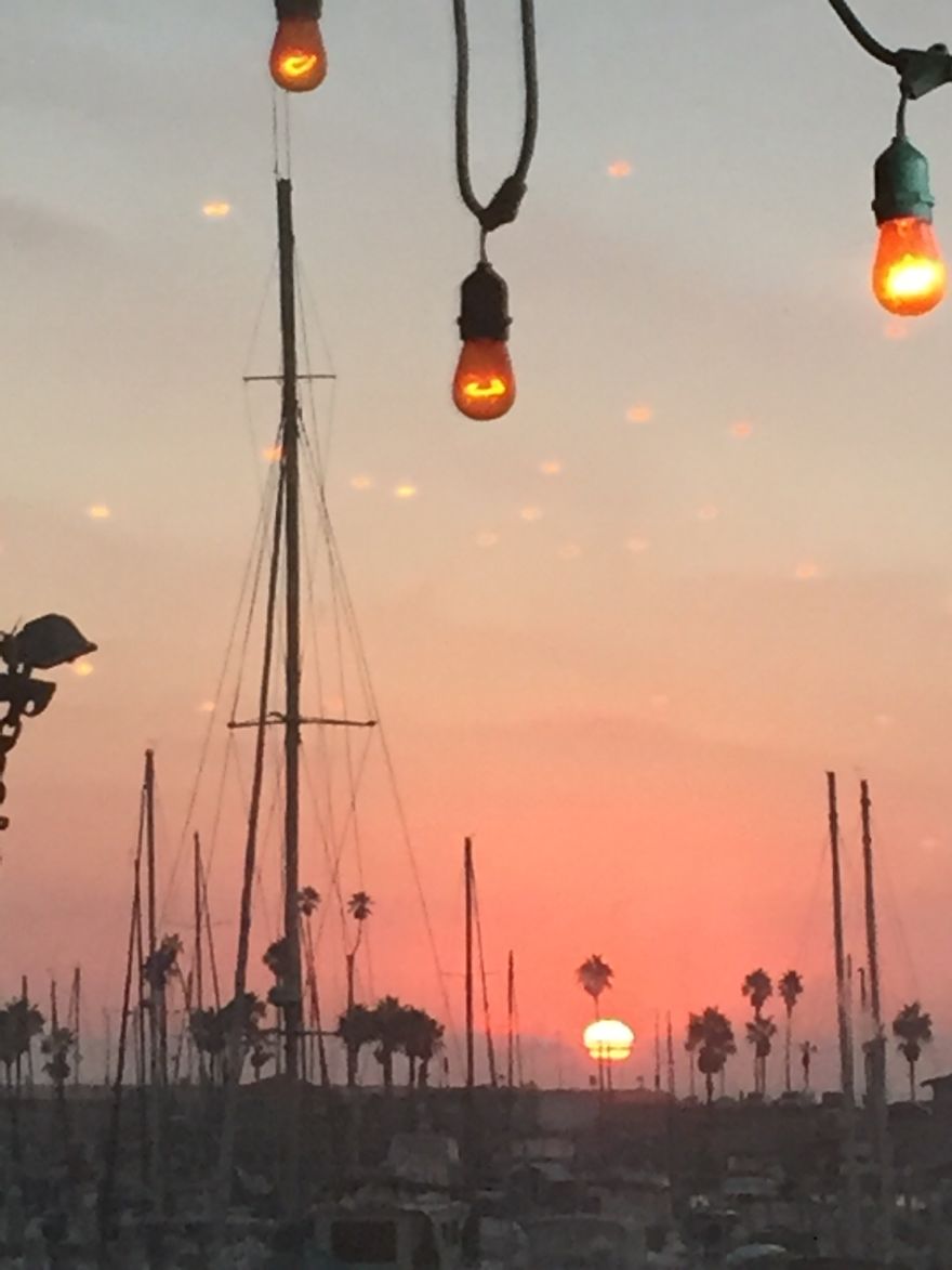 An Introvert And His Camera Phone