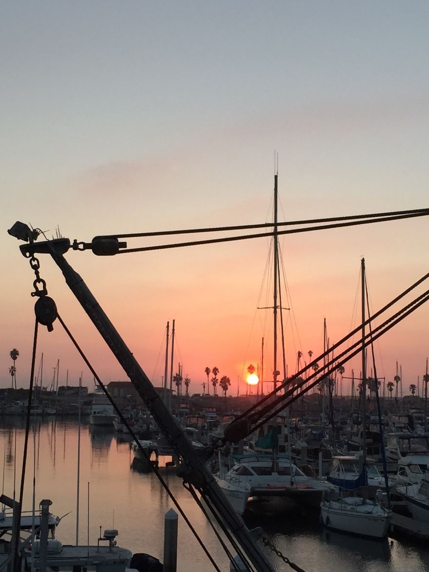 An Introvert And His Camera Phone