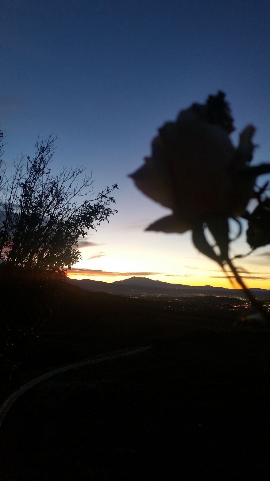 An Introvert And His Camera Phone