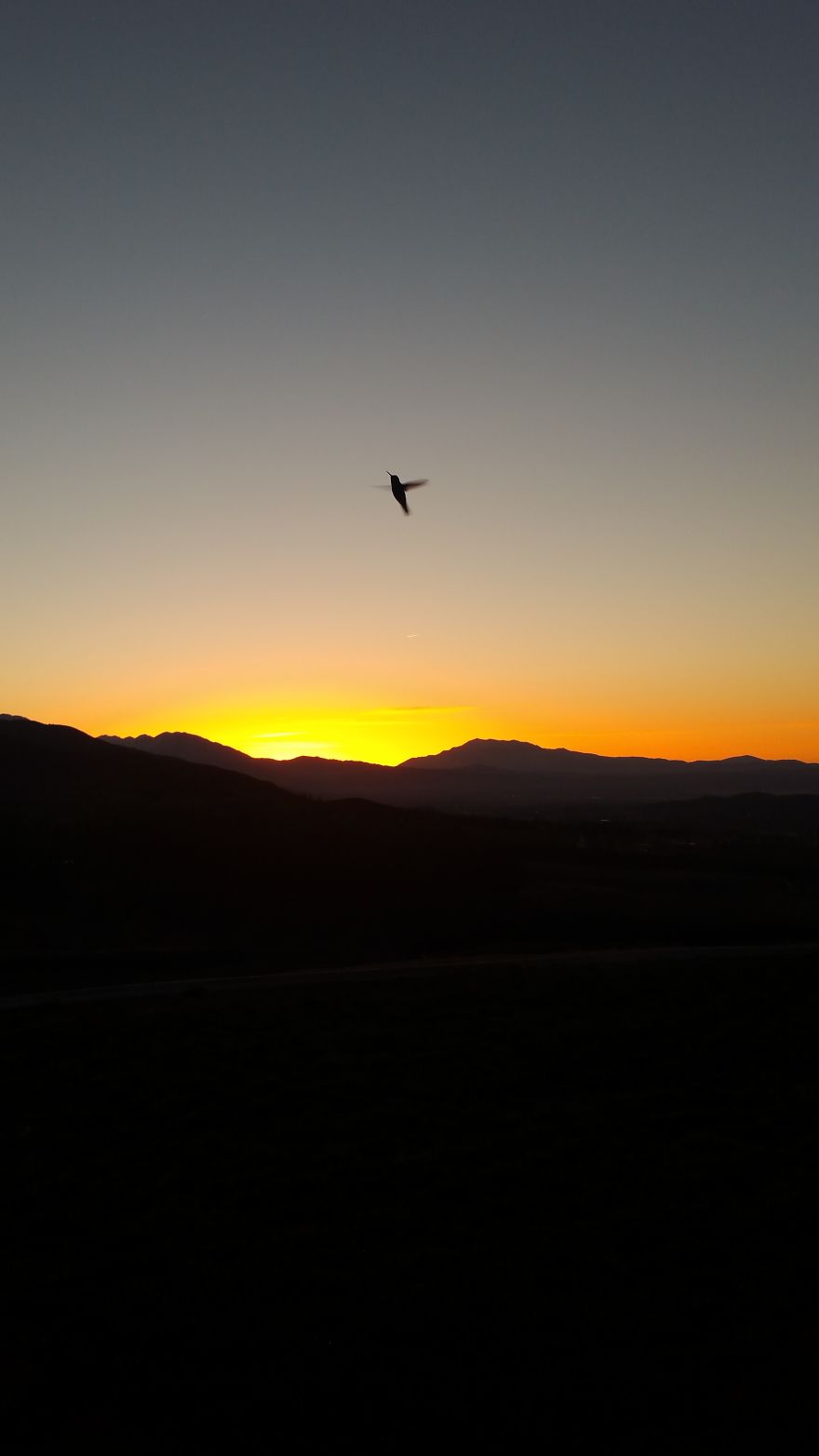 An Introvert And His Camera Phone An Introvert And His Camera Phone