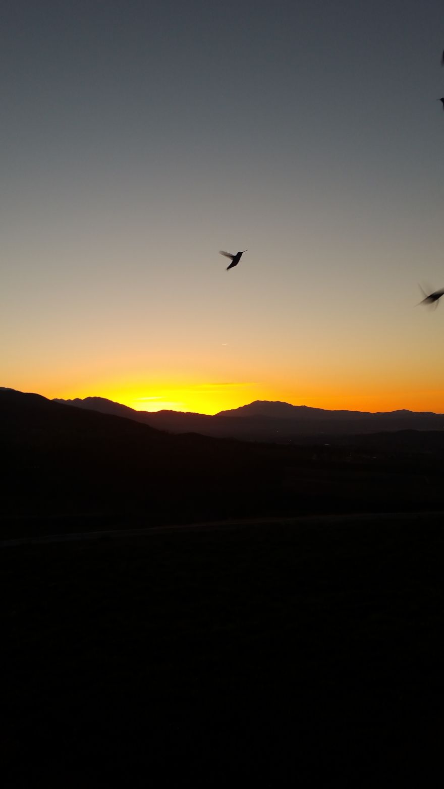 An Introvert And His Camera Phone