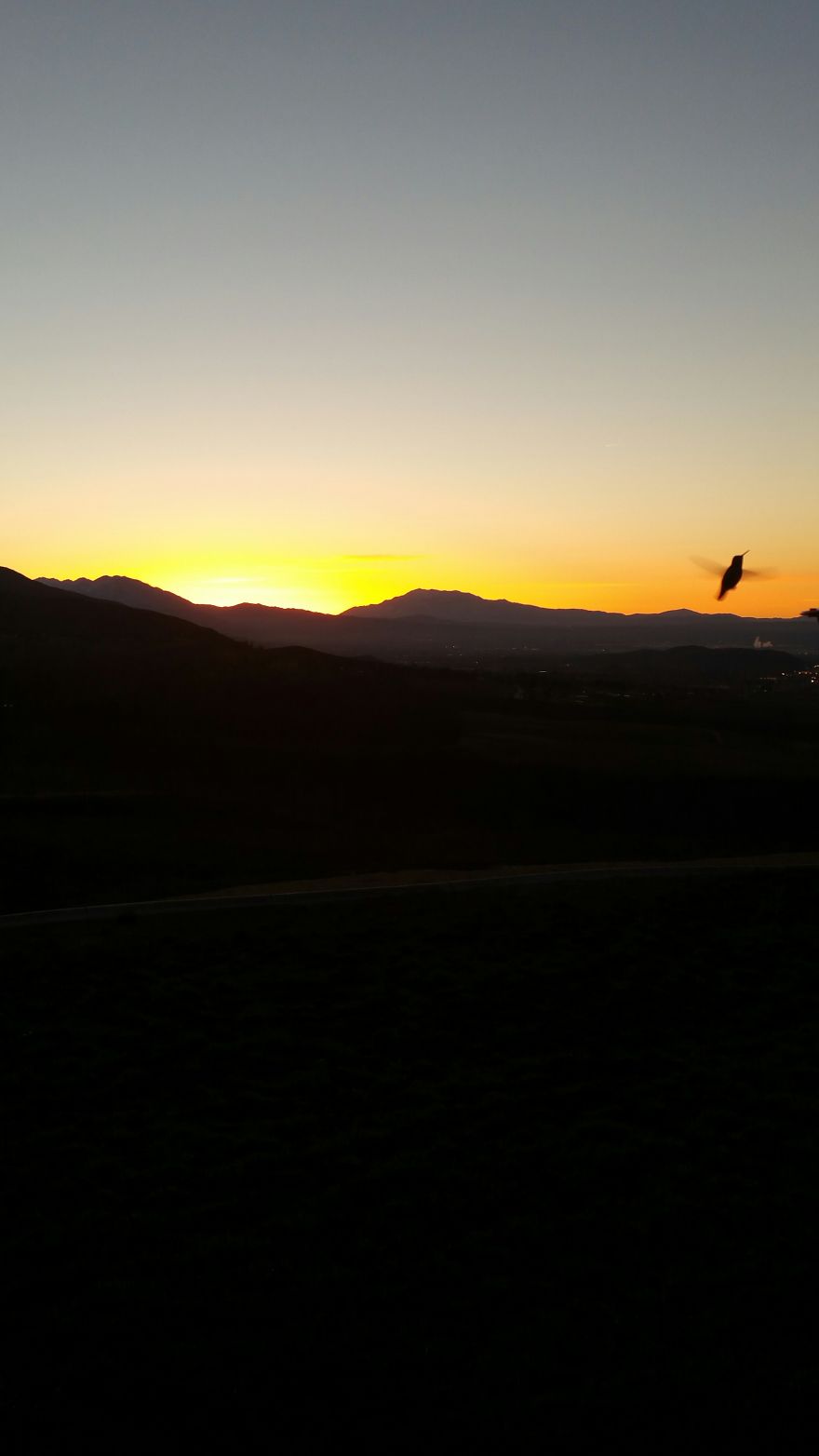 An Introvert And His Camera Phone An Introvert And His Camera Phone